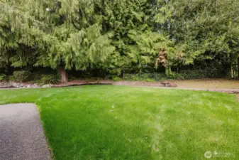 Fully Fenced backyard