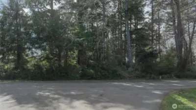 Selectively clear to enjoy the mature trees on property.