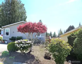 Light-filled three bedroom and two bath home in an over 55 senior park.
