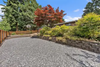 More room in backyard