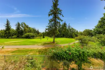 View of the course from the back deck.