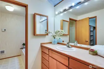 Vanity with separate room for shower, tub and bathroom.