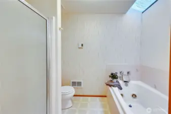 Jetted tub and shower stall.