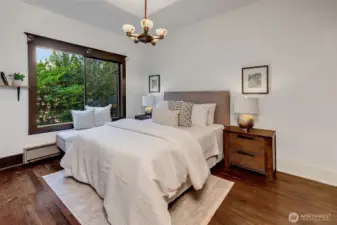 Main floor bedroom has 3 closets! Double closet and 1 extra closet out of the photo frames. Forced air gas heat and central A/C now serves as energy source.