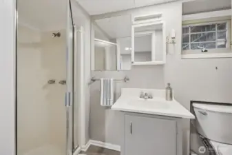 Lower level 3/4 bath