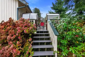 These stairs from the far end of the deck lead to the side yard and more sunny spots for gardening.