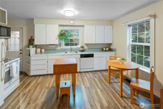 Nice expansive kitchen, backdoor leads to the side yard and path to carport.