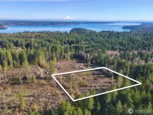 Overhead view with approximate boundaries in white.