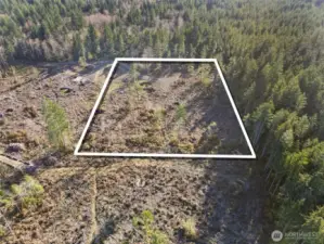 Overhead view with approximate boundaries in white.