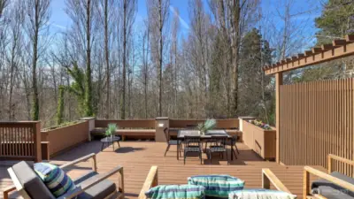 Perfect Deck for privacy and entertaining.