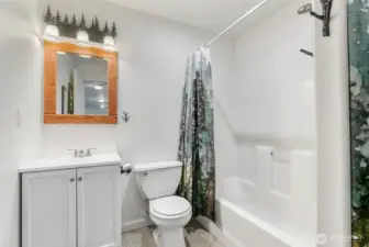 Lowere level bathroom