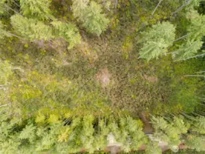 Overhead of cleared portion of property