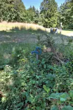 Water hydrant and Transformer at the property edge near the access easement