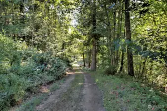 Access road through the property