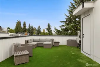Rooftop Deck with professionally installed turf