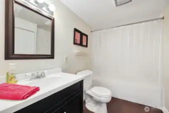 Basement Bathroom