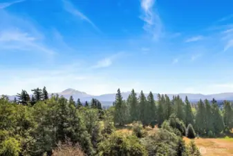 Mt Baker view