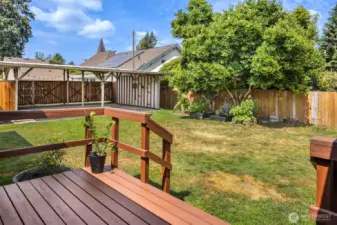 Deck from French doors-across from laundry room.