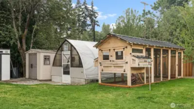 Chicken Coop + Green house + Storage!