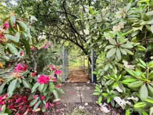 Private Creek Entrance!