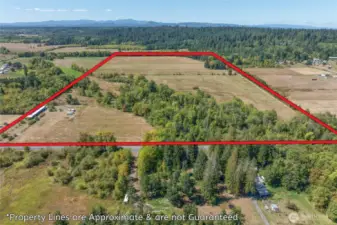 Full property with Boundary Lines