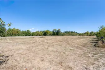 Lots of field for Hay