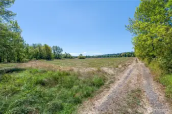 Northerly Road, leading to rear or property