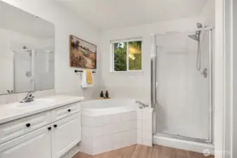 Primary Bath