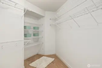 Large walk in closet in primary
