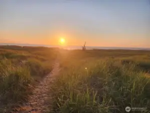 Explore miles of sandy beaches