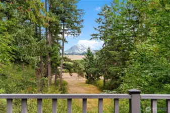 Picturesque Views from Living Room and Back Deck