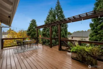 Expansive elevated Trex deck with a pergola and privacy from lush evergreens. A perfect spot for dining outdoors, grilling on the BBQ, or enjoying quiet mornings surrounded by nature.