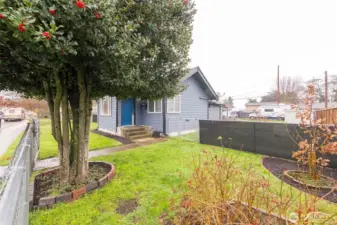 Front yard with a convenient gate to the backyard.