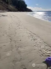 enjoy the sand between your toes...