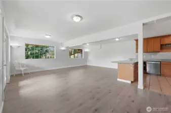 Lower level living room