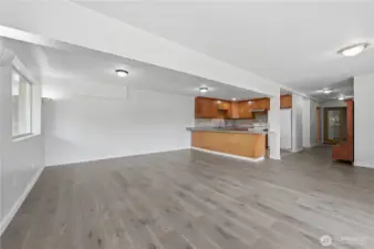 Lower level living room & kitchen
