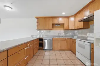 Lower level 2nd kitchen