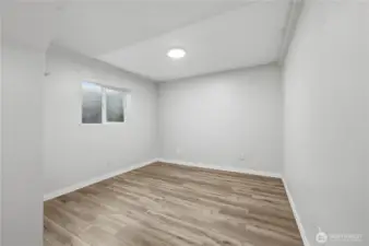 Lower level 4th bedroom