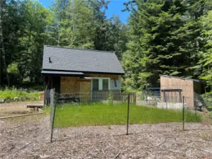 Small fenced yard