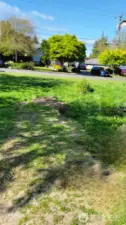 Side yard of home.