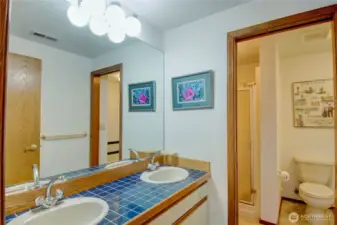 Lower floor full bath