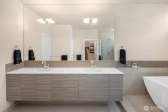 The primary bath's floating vanity and double, undermounted sinks are in the foreground, and the nice, big, walk-in closet is in the reflection