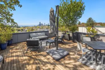 The cherry on the proverbial sundae is the huge, rooftop, 360 degree view deck.  With power outlets, plumbed for gas, and plumbed for water and raised bed irrigation, this is the ultimate location destination.  Enjoy westerly views of the city skyline and the Olympics, the top of Mt. Rainier to the south, and Lake Union and The Cascades to the east.  Whether it's a personal getaway or gathering spot in which to entertain and celebrate, the rooftop deck is a place where it's easy to feel on top of the world.