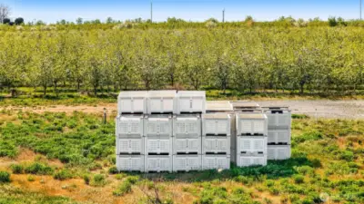Apple bins for harvesting