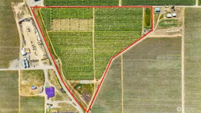 The orchard and irrigation pond are in the red outline.