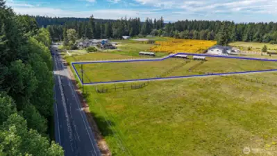 Room enough for an expansive veggie patch plus chickens, goats, and maybe even a cow! Blue boundary lines are approximate. Buyer to verify to their own satisfaction.