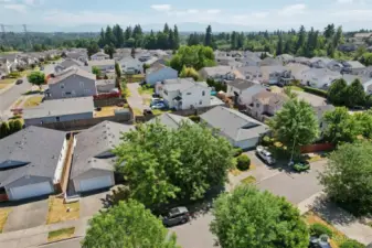 Such a great established neighborhood in Lea Hill, look at the trees and the mountains in the distance!
