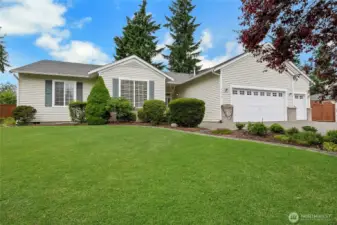 Front Yard