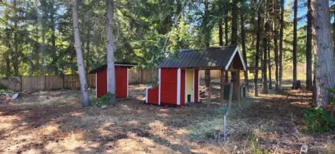 Bring your chickens!