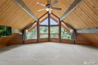 Primary bedroom, vaulted ceilings, huge windows